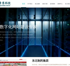 沈阳青葱科技-沈阳高端网站建设_响应式H5定制设计_软件定制开发_差异化服务倡导者！