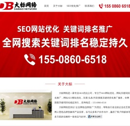 大标网络丨专业SEO优化公司-网站SEO优化-关键词排名推广