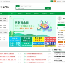 西北苗木网--苗木求购|绿化苗木价格|陕西苗木