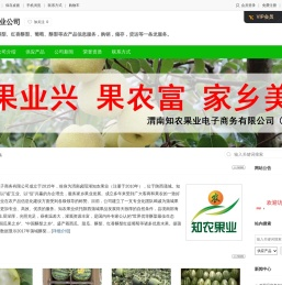 蒲城甜瓜|蒲城西瓜|蒲城酥梨|做更好的优质农产品供应服务商-【知农果业公司】