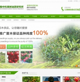 油茶苗_果树苗_红豆杉苗_油茶苗批发_果树苗批发_红豆杉苗批发_湖南中科果树油茶研究所