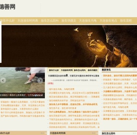 大连放生地点_大连放生去哪里_放生的福报_正确的放生回向_德善网