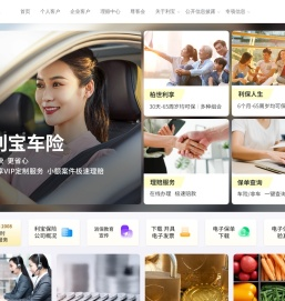 利宝保险有限公司