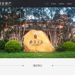 富立房地产开发有限公司