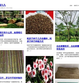 根雕九九 - 根雕网 | 根雕艺术 |  木头工艺品