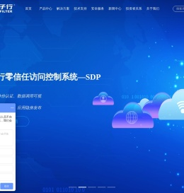 任子行-网络空间数据治理专家