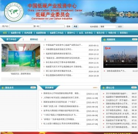 低碳产业委员会
