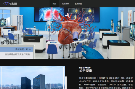 郑州顶泰科技有限公司