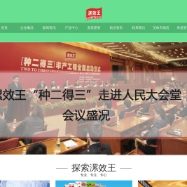 首页 - 漯效王集团