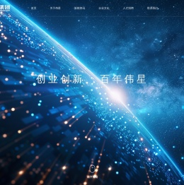伟星集团有限公司