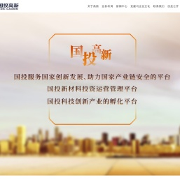 中国国投高新产业投资有限公司