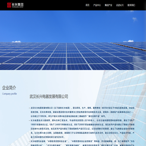 武汉长兴电器发展有限公司_武汉长兴集团有限公司