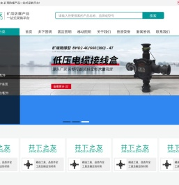 井下之友电气有限公司