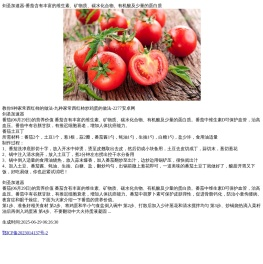 剑圣加速器-安卓apk软件_手机应用app下载_手游排行榜_最好玩的安卓游戏
