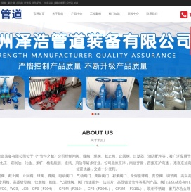 阀门 过滤器  消防配件-沧州泽浩管道装备有限公司