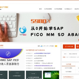 SAP培训_SAP培训课程学习及SAP培训视频资料下载-SAP桔子学院