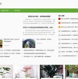 龟背竹知识网