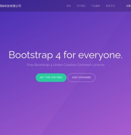 深圳搜易网络科技有限公司