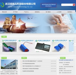 武汉纽赛儿科技股份有限公司-武汉纽赛儿科技股份有限公司