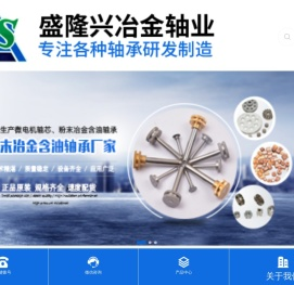 微型电机轴芯,粉末冶金厂家,盛隆兴冶金轴业