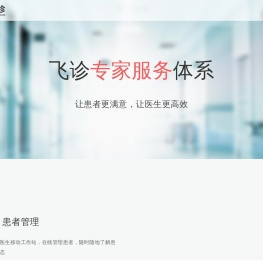 飞诊