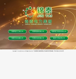 广东锦泰电力集团有限公司