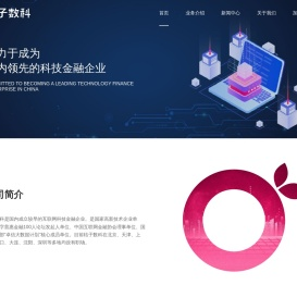 桔子数字科技有限公司