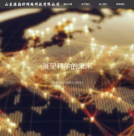 山东源指针网络科技有限公司