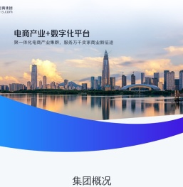 513教育集团–专注新型产业教育，赋能全球电商产业-伍壹叁官网