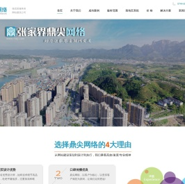 张家界网站制作_网络公司_网站建设_网站开发_落地页制作_竞价推广页制作_张家界做网站_鼎尖网络