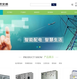 广东荣宝盛电气有限公司