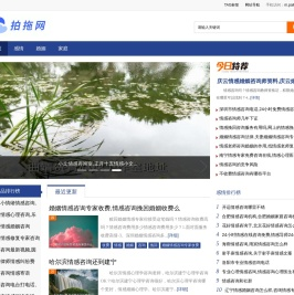 拍拖网 - 情感知识驿站