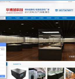 恒温恒湿柜-恒温恒湿储藏柜-恒温恒湿储存柜-博物馆展柜