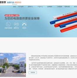 湖南金杯电器有限公司