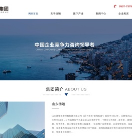 山东德翊投资控股集团有限公司-山东德翊集团