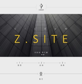 河北智旦网络—软件开发找智旦