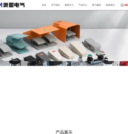 奥盟电气集团有限公司