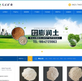 建平天正矿业有限公司