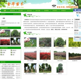 金华苗木-金华苗木场_金东区绿化苗木批发基地