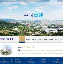 青建集团股份公司