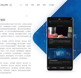 山东领宸信息科技有限公司