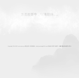 重庆大渝网