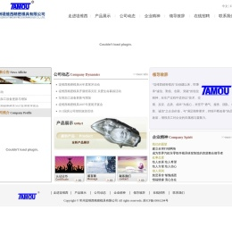 常州堤维西精密模具有限公司