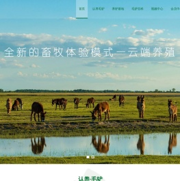 英大驴掌柜毛驴网