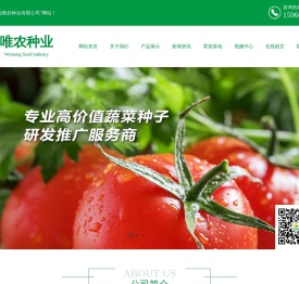 番茄种子,苦瓜种子,西葫芦种子,辣椒种子,黄瓜种子,砧木种子,蔬菜种苗-寿光唯农种业有限公司