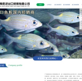 鱼粉最新价格|进口鱼粉价格|鱼粉行情-广州南群进出口贸易有限公司