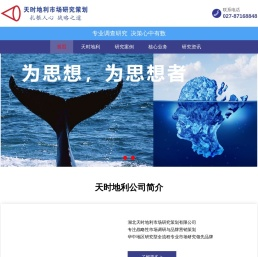 湖北天时地利市场研究策划有限公司_武汉市场研究公司_武汉市场调研公司_武汉市场调查公司