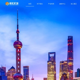 通正矿业投资有限公司