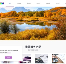 璞浑咨询Puhun