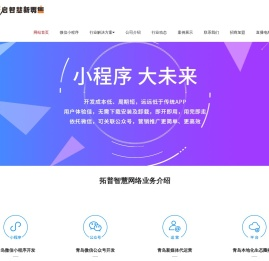 青岛小程序开发,青岛公众号开发,青岛网站建设,青岛平台开发-青岛拓普智慧网络技术-青岛拓普互联智慧网络